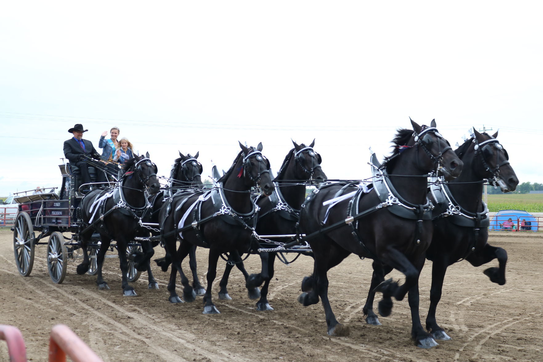 6-Horse Hitch 32